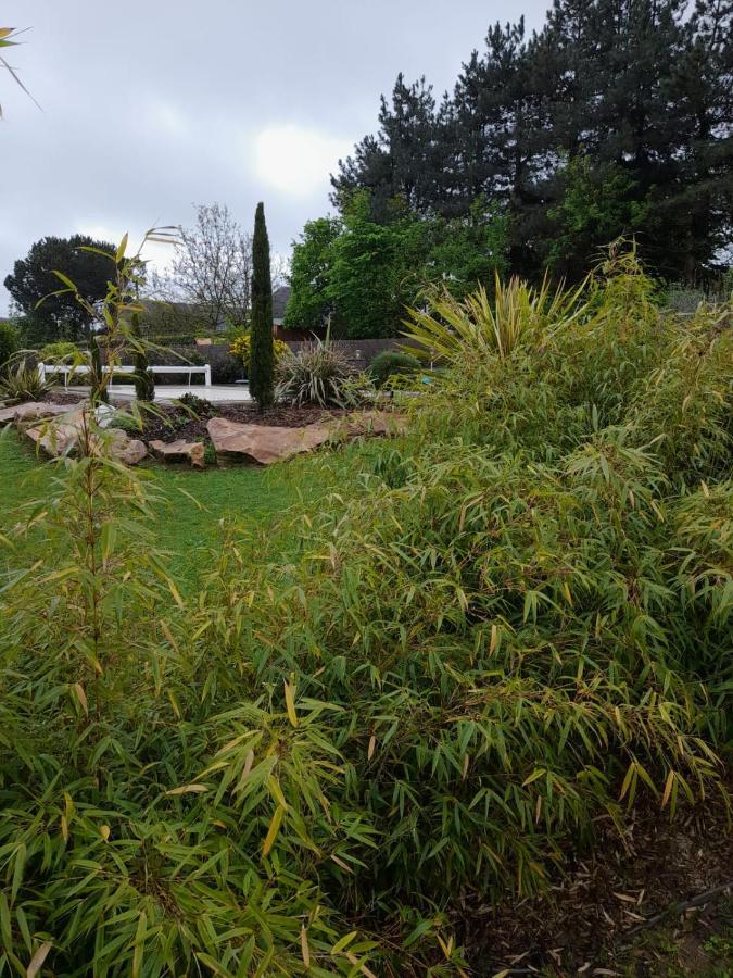 Angrie Chambre Dans Un Ecrin De Verdure מראה חיצוני תמונה