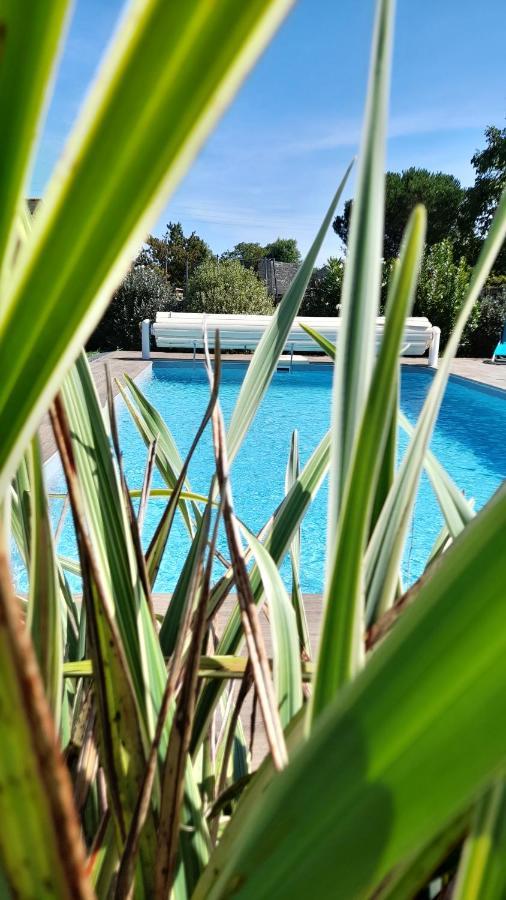 Angrie Chambre Dans Un Ecrin De Verdure מראה חיצוני תמונה