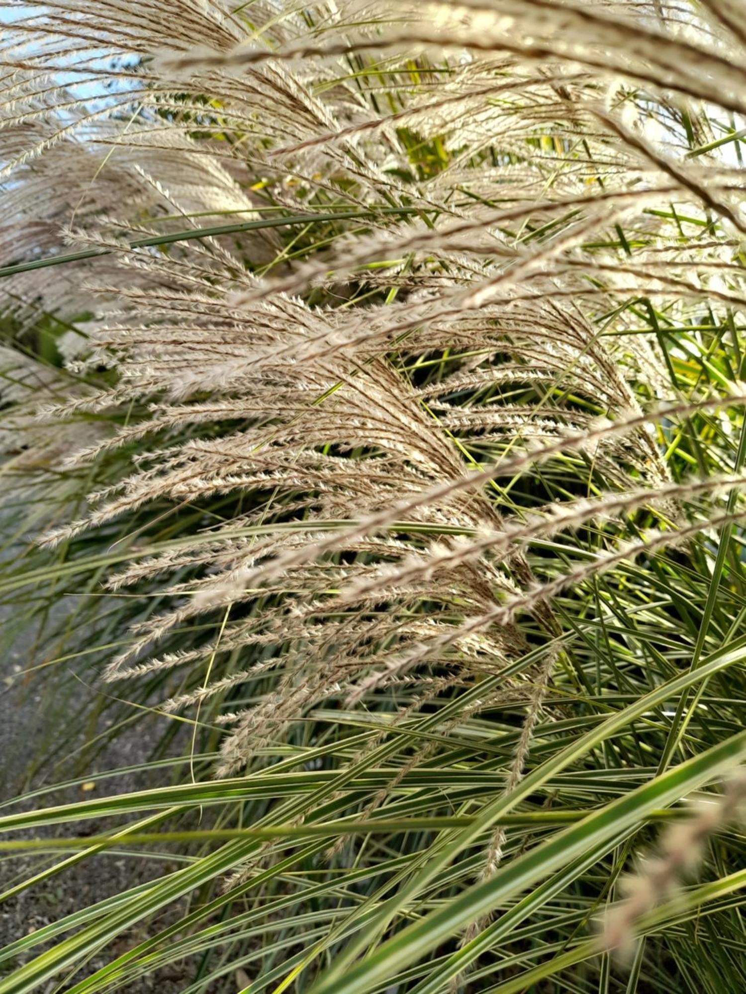 Angrie Chambre Dans Un Ecrin De Verdure מראה חיצוני תמונה
